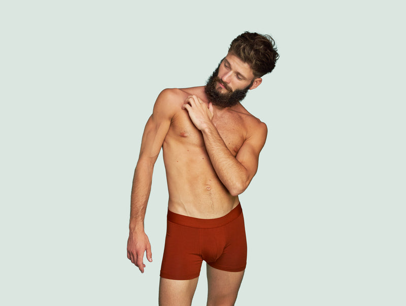Pétrone boxer confort coton pima micromodal rouille homme#couleur_rouille