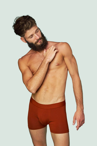 Pétrone boxer confort coton pima micromodal rouille homme