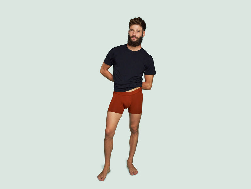 Pétrone boxer confort coton pima micromodal rouille homme#couleur_rouille