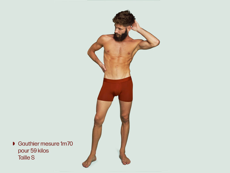 Pétrone boxer confort coton pima micromodal rouille homme#couleur_rouille