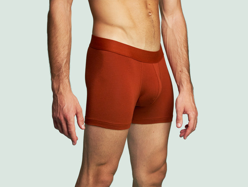 Pétrone boxer confort coton pima micromodal rouille homme#couleur_rouille