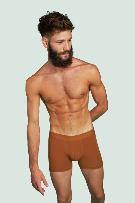 Pétrone boxer confort coton pima micromodal ocre homme