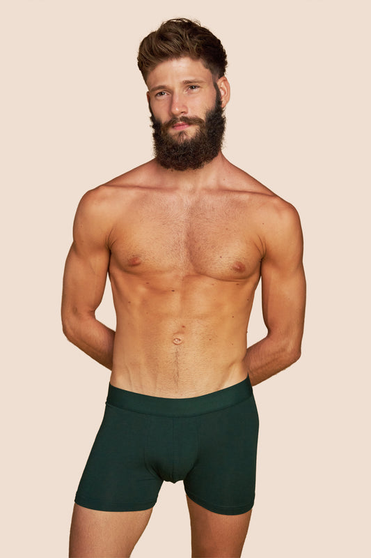 Pétrone boxer confort coton pima micromodal vert bouteille homme