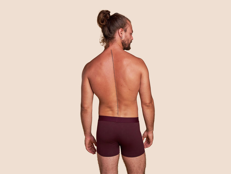 Pétrone boxer coton bio lie-de-vin homme#couleur_lie-de-vin