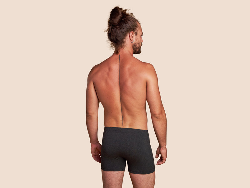 Pétrone boxer héritage coton pima micromodal gris anthracite homme#couleur_gris-anthracite