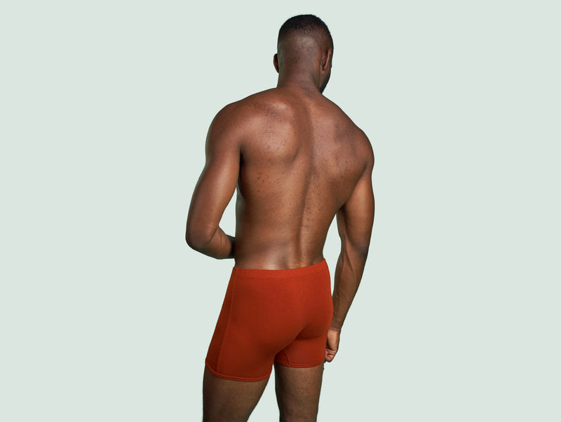 Pétrone boxer héritage coton pima micromodal rouille homme#couleur_rouille