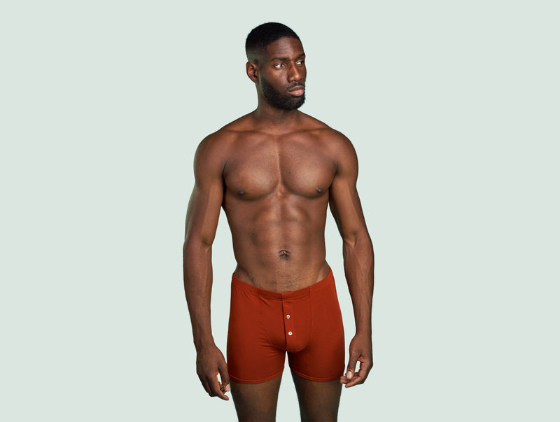 Pétrone boxer héritage coton pima micromodal rouille homme#couleur_rouille