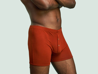 Pétrone boxer héritage coton pima micromodal rouille homme#couleur_rouille