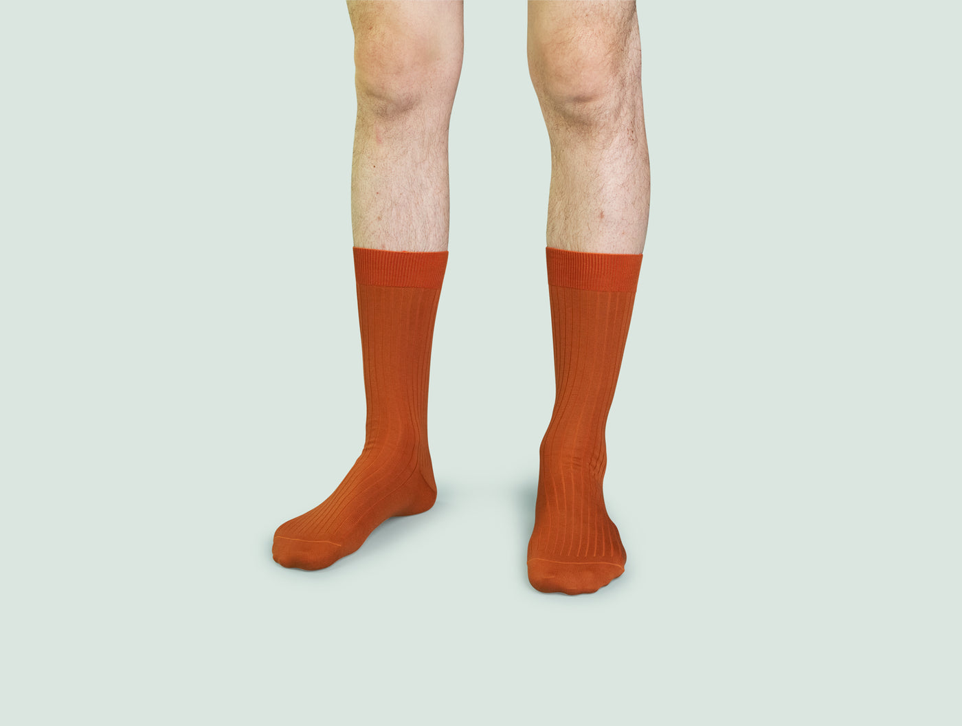 Pétrone chaussettes côtelées mi-mollet en fil d'Ecosse italien miel hommes#couleur_miel