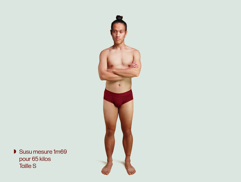 Pétrone slip coton pima micromodal bordeaux homme#couleur_bordeaux