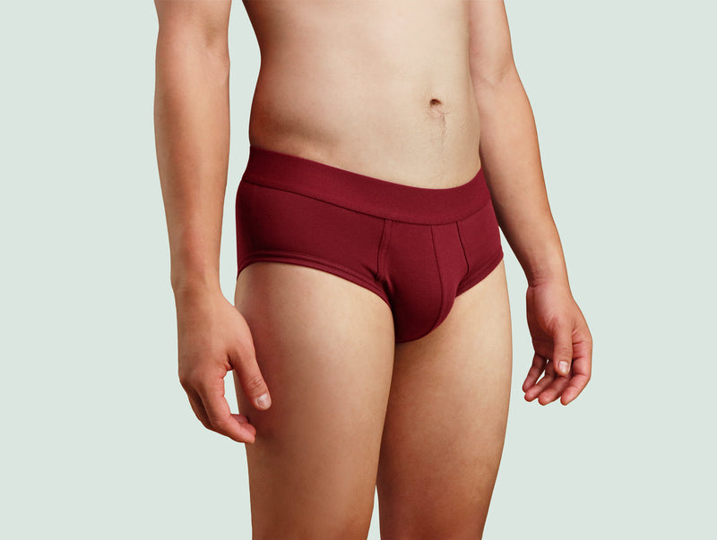 Pétrone slip coton pima micromodal bordeaux homme#couleur_bordeaux