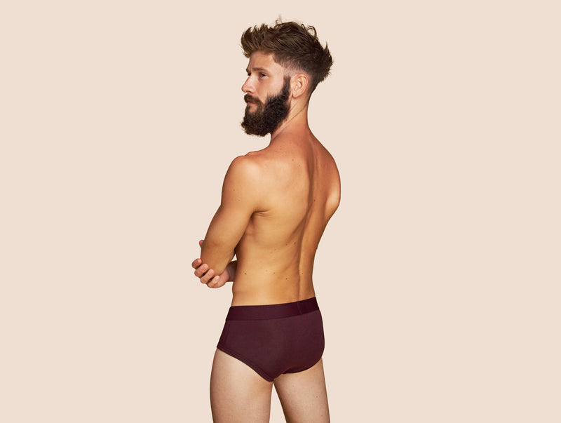 Pétrone slip coton pima micromodal lie-de-vin homme#couleur_lie-de-vin