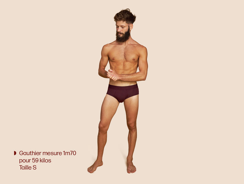 Pétrone slip coton pima micromodal lie-de-vin homme#couleur_lie-de-vin