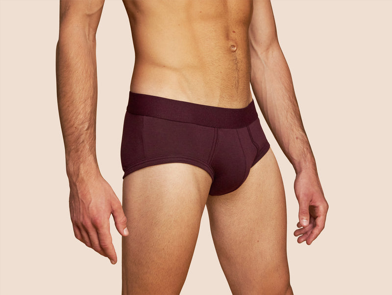 Pétrone slip coton pima micromodal lie-de-vin homme#couleur_lie-de-vin