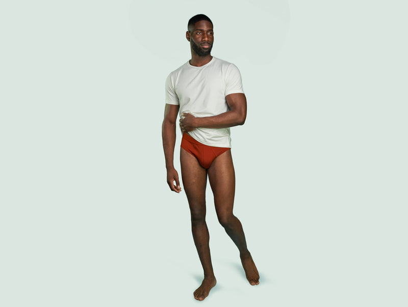 Pétrone slip coton pima micromodal rouille homme#couleur_rouille