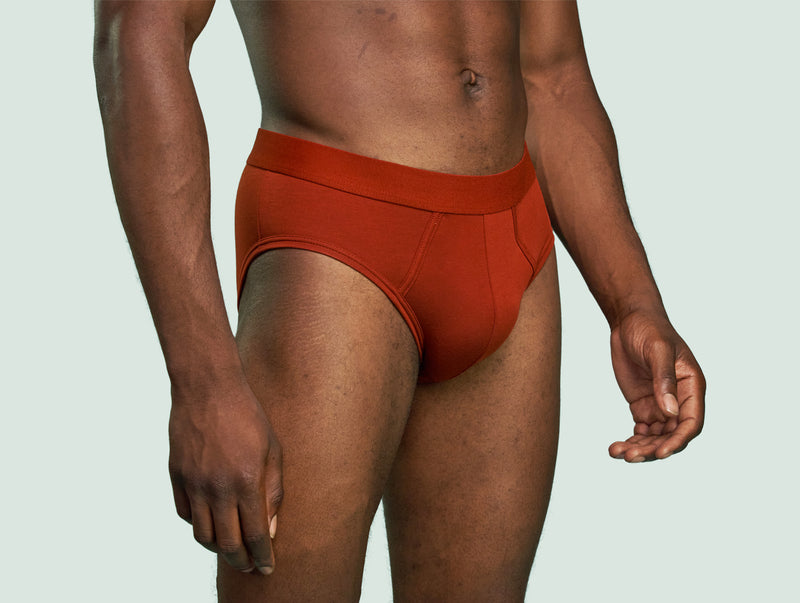 Pétrone slip coton pima micromodal rouille homme#couleur_rouille