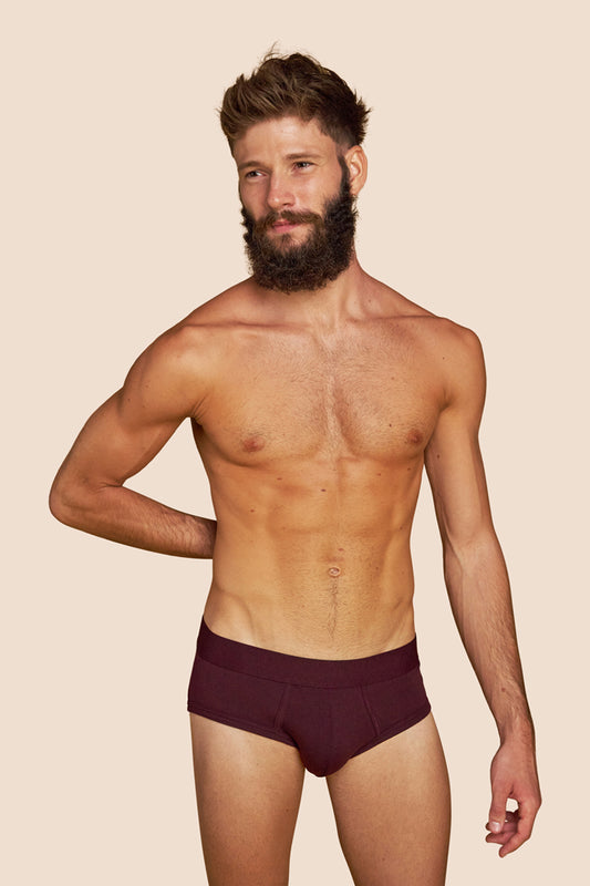 Pétrone slip coton pima micromodal lie de vin homme