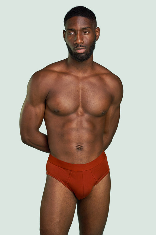 Pétrone slip coton pima micromodal rouille homme