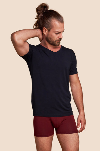 Pétrone T-shirt col V bleu marine coton pima micromodal hommes