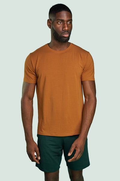 Pétrone T-shirt manches courtes coton pima micromodal ocre homme