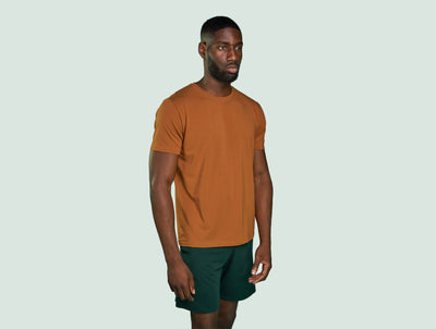 Pétrone T-shirt manches courtes coton pima micromodal ocre homme#couleur_ocre