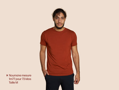 Pétrone T-shirt manches courtes coton pima micromodal rouille homme#couleur_rouille